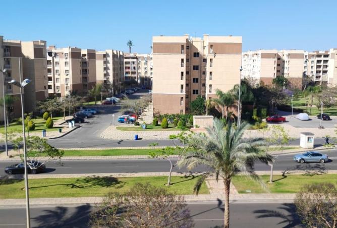 8174483 - صورة العقار 2