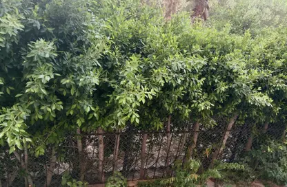 شقة - 2 غرف نوم - 2 حمامات للبيع في شارع دريم لاند - دريم لاند - طريق الواحات - مدينة 6 أكتوبر - الجيزة