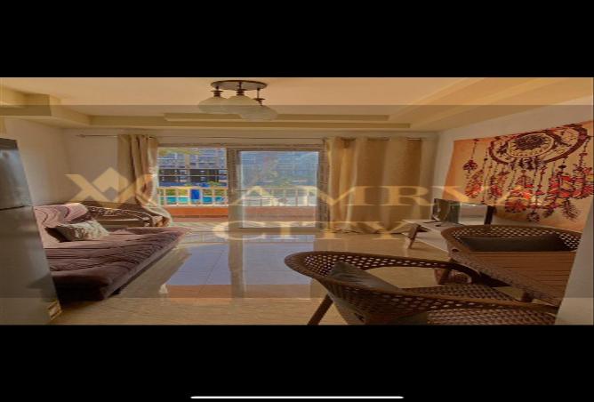 7991352 - Property Image 3