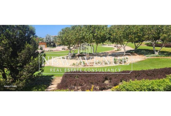 8467511 - الصورة الرئيسية للعقار