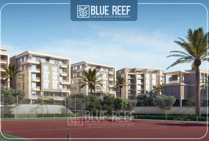 8416066 - Property Image 3