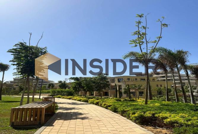 8388027 - صورة العقار 3