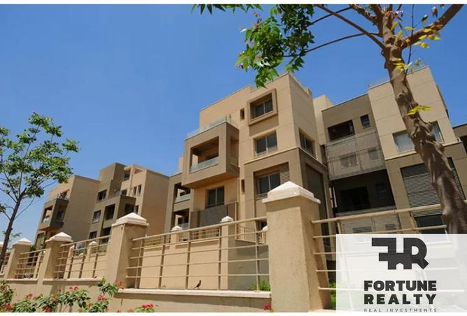 8427654 - Property Image 3