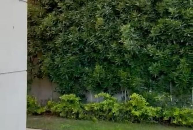 8495526 - الصورة الرئيسية للعقار