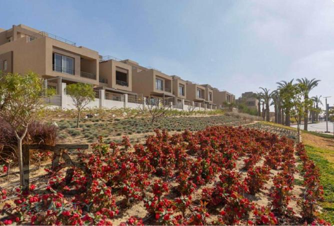 8157881 - صورة العقار 3