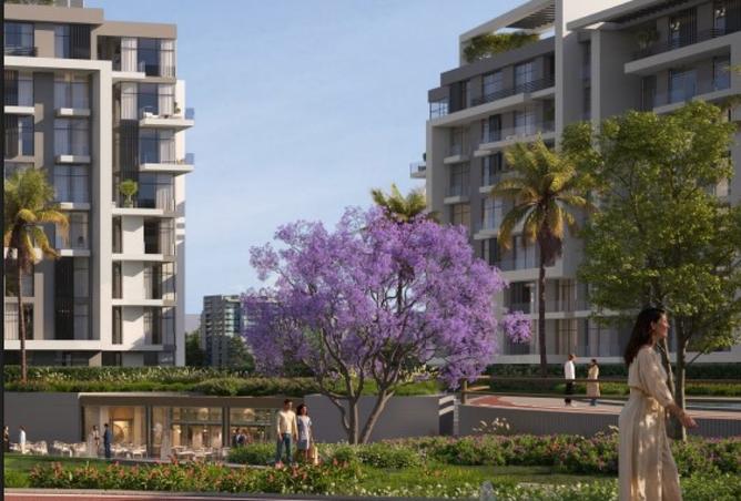 8418504 - Property Image 2