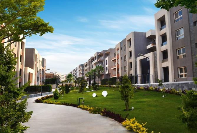 7981721 - Property Image 3