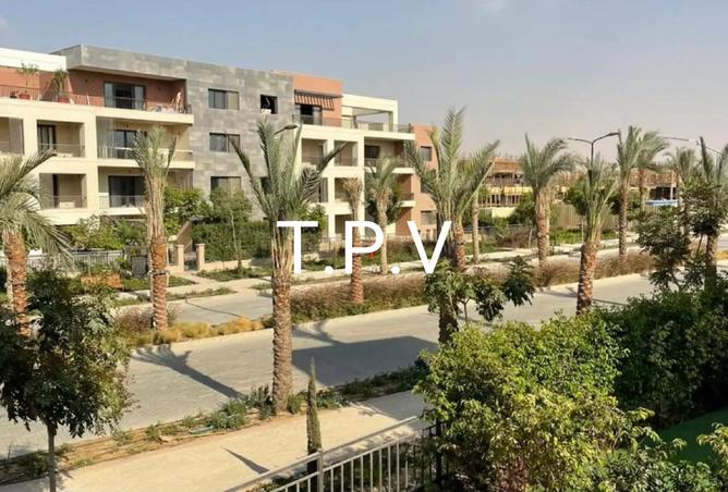 8113623 - Property Image 3