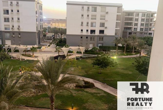 8369813 - صورة العقار 3