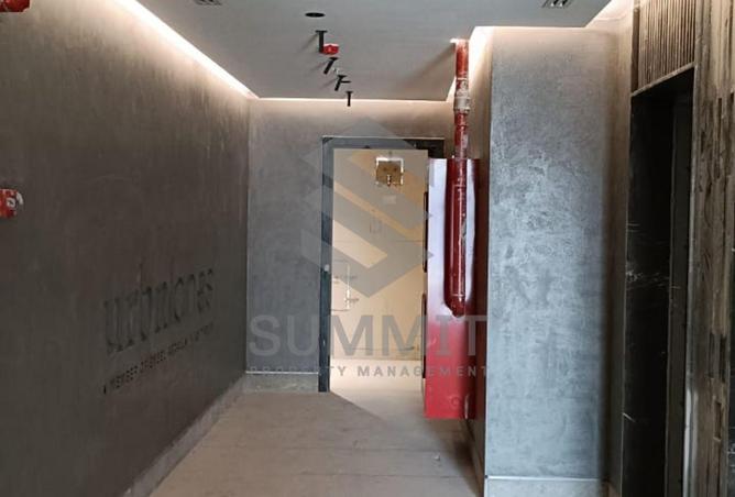 8041605 - Property Image 3