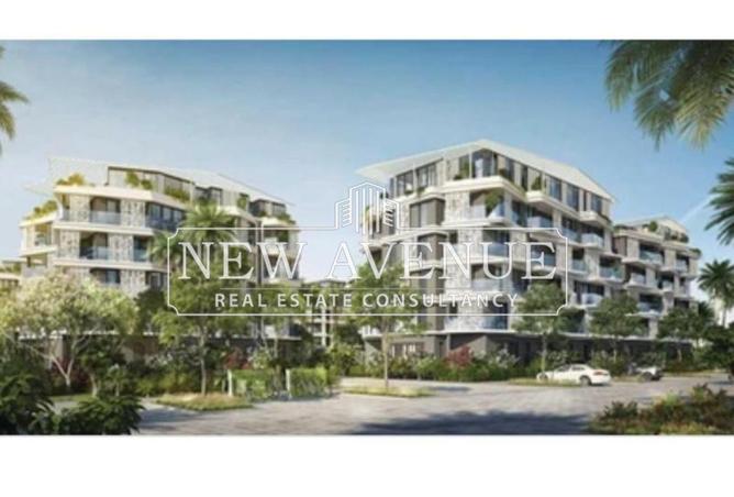 8340274 - Property Image 3