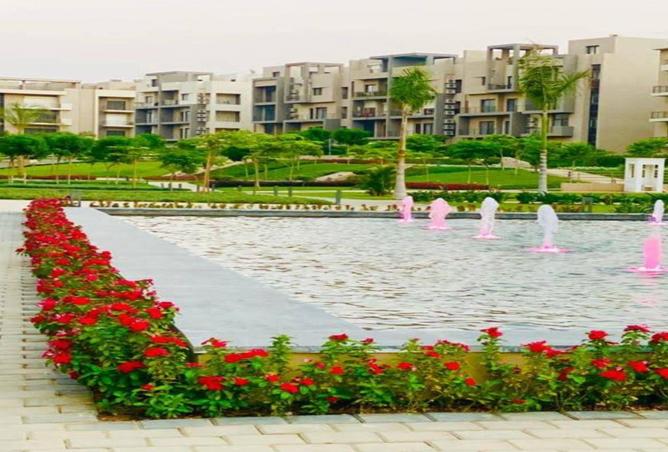 8388326 - Property Image 2