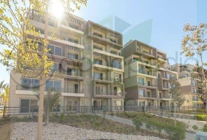 8207006 - Property Image 3