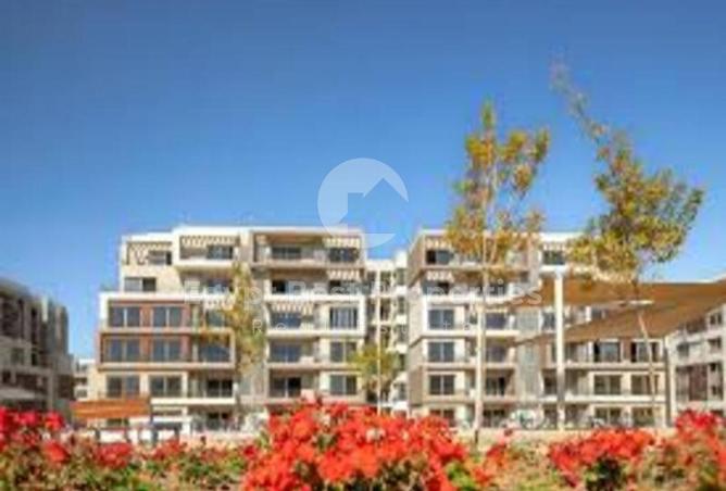 7918824 - Property Image 3