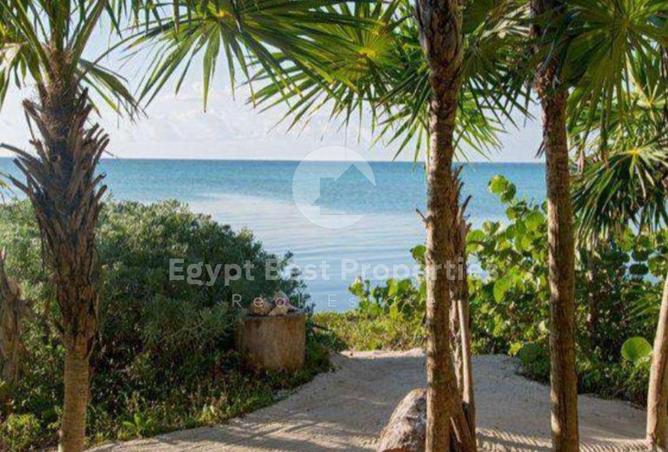 7932639 - صورة العقار 3