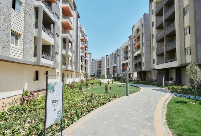 8054594 - Property Image 3