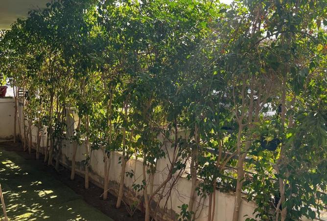 8430730 - Property Image 3