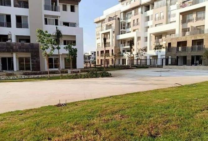 8180496 - Property Image 3