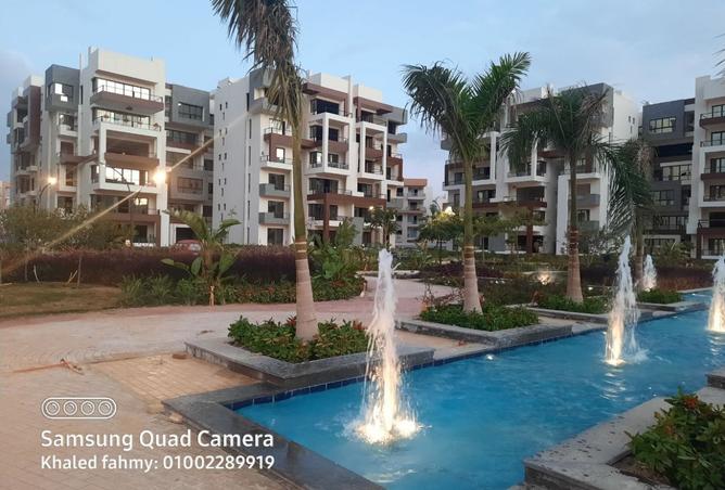 8159968 - Property Image 3
