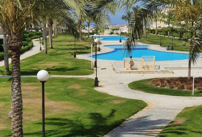 8311368 - Property Image 3