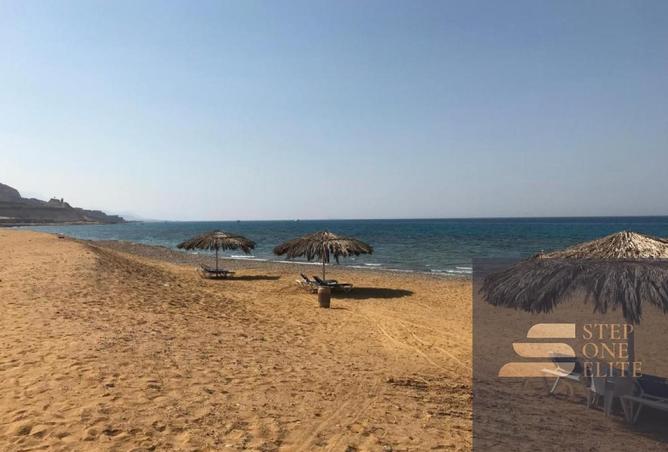 7959376 - صورة العقار 3