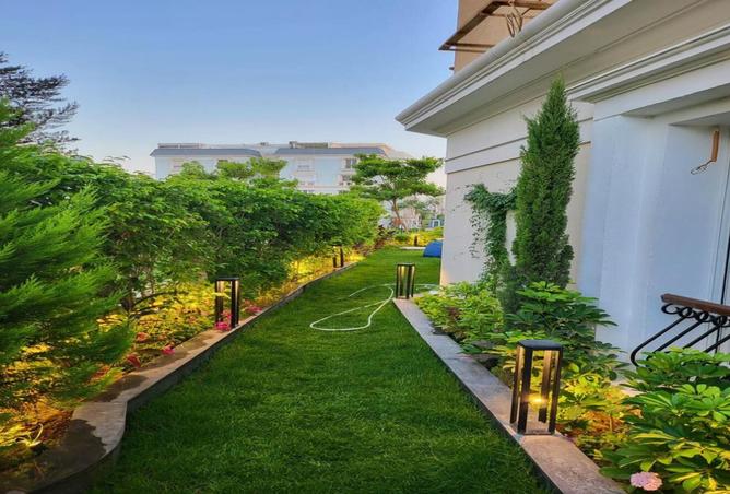 8337242 - Property Image 3