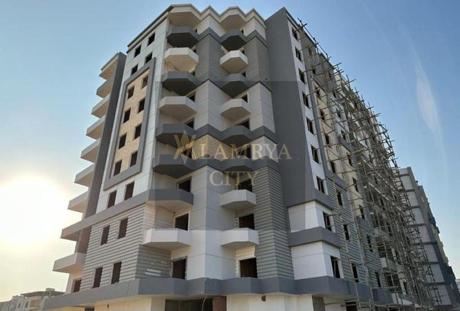 8156946 - Property Image 3