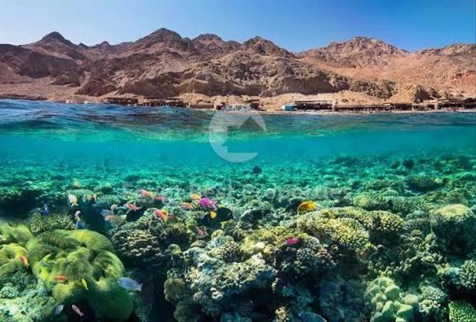 7905024 - صورة العقار 3