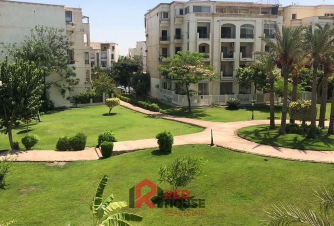 8403421 - الصورة الرئيسية للعقار