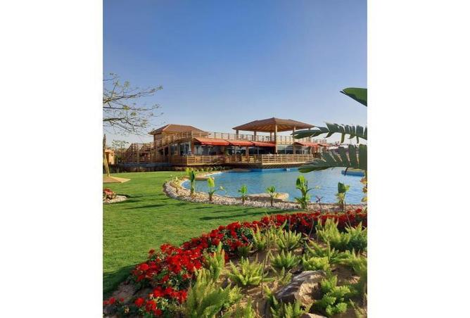 8506200 - Property Image 3