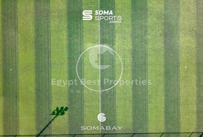 7938967 - صورة العقار 3