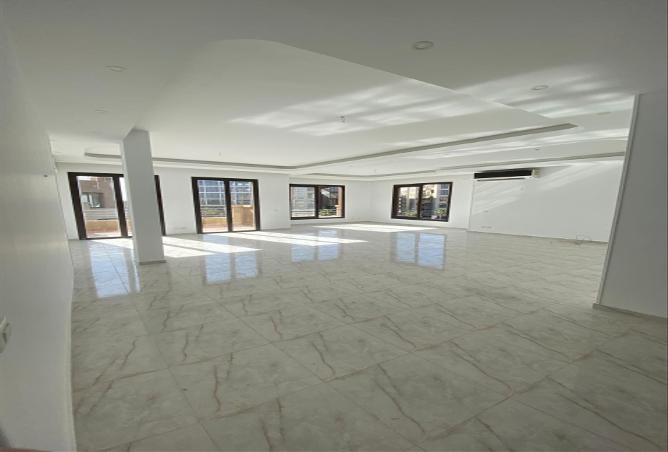7905666 - Property Image 3