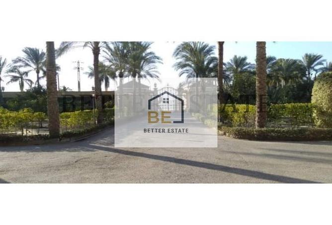 6151351 - صورة العقار 2