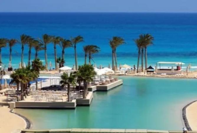 8433480 - Property Image 3