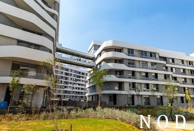 7710209 - Property Image 3