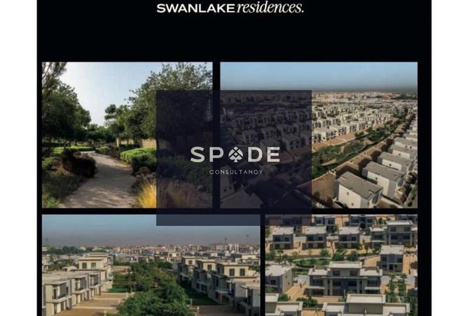 8262213 - Property Image 3