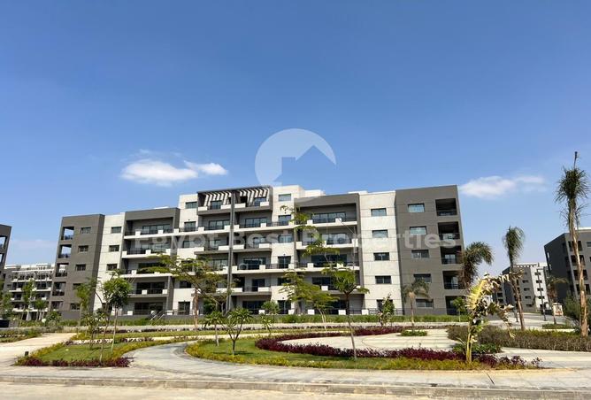 7971596 - صورة العقار 3