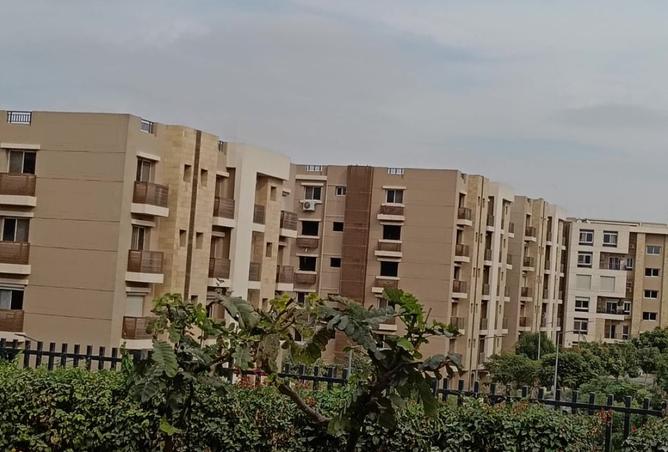 8302544 - الصورة الرئيسية للعقار