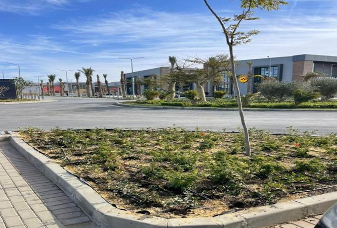 8488824 - Property Image 3