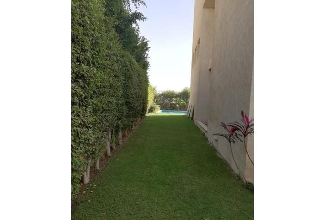 8161775 - صورة العقار 3