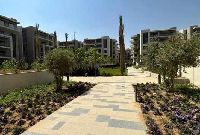 8035604 - صورة العقار 3