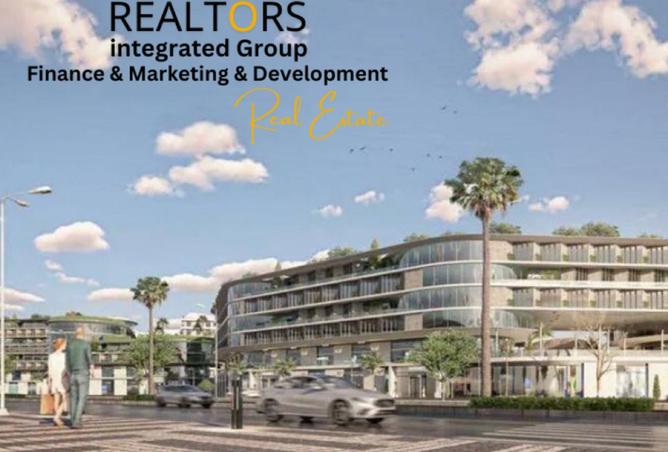 8442834 - Property Image 3