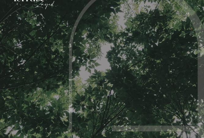 8392053 - Property Image 3