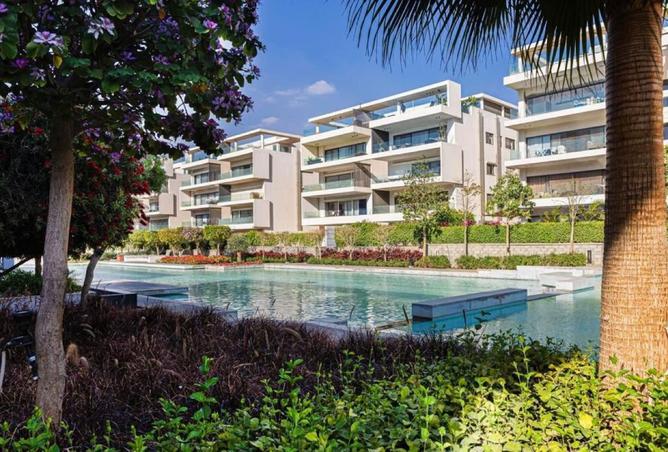 8461865 - Property Image 3