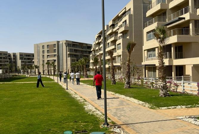 8200703 - صورة العقار 2