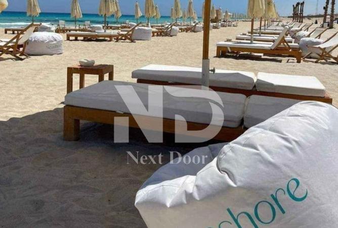 7784756 - Property Image 3