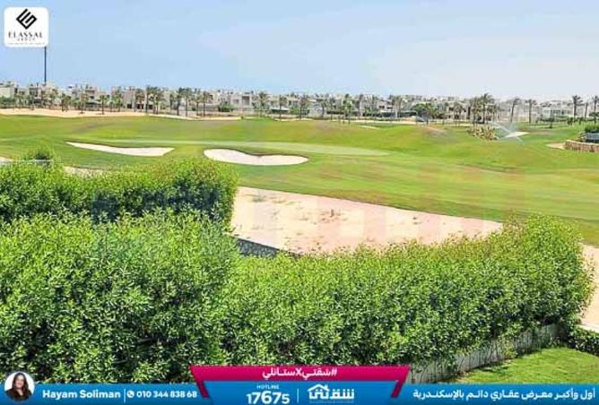 8386179 - صورة العقار 2