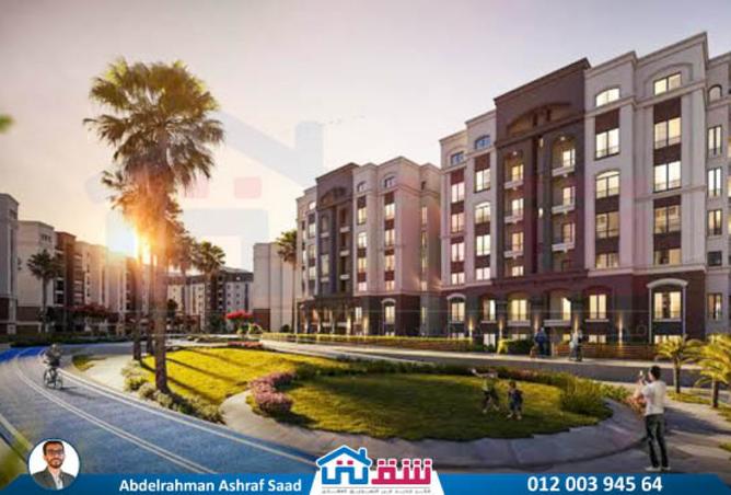 8161425 - Property Image 3