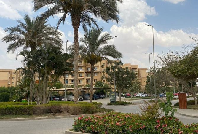 8072739 - صورة العقار 2