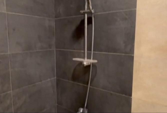 8097259 - Property Image 3